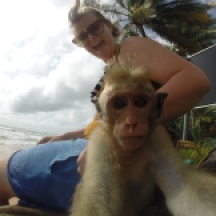 Baby Monkey Selfie